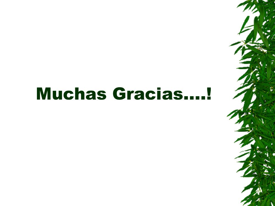 Muchas Gracias....!