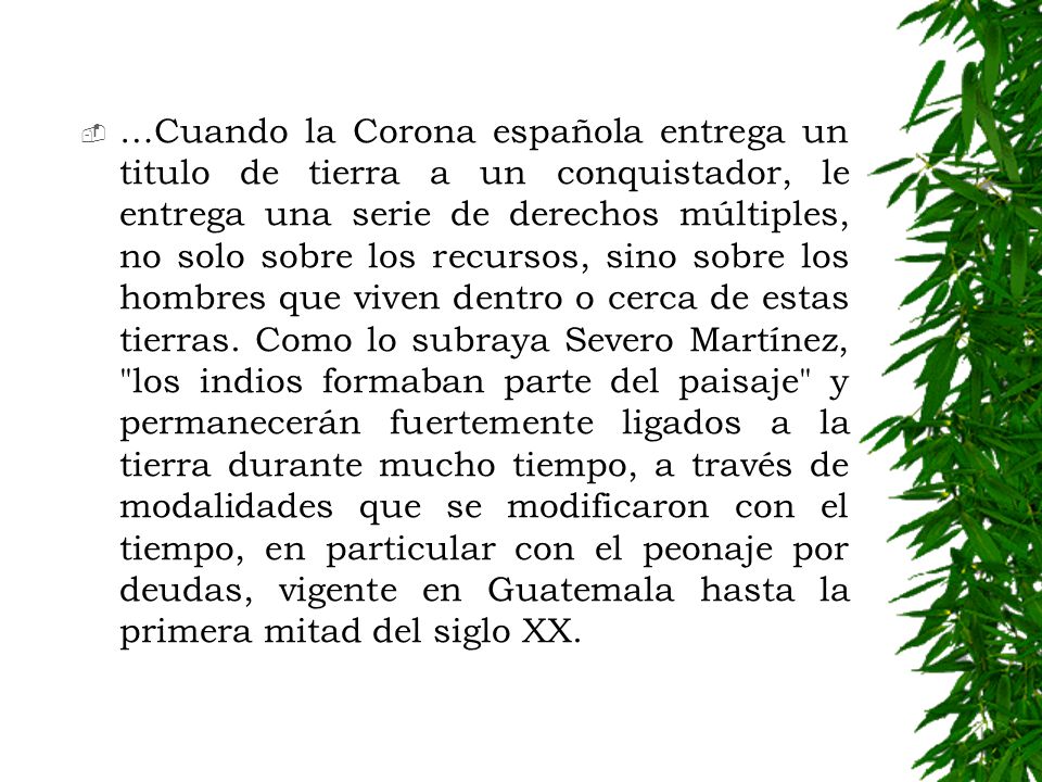 …Cuando la Corona española entrega un titulo de tierra a un conquistador, le entrega una serie de derechos múltiples, no solo sobre los recursos, sino sobre los hombres que viven dentro o cerca de estas tierras.