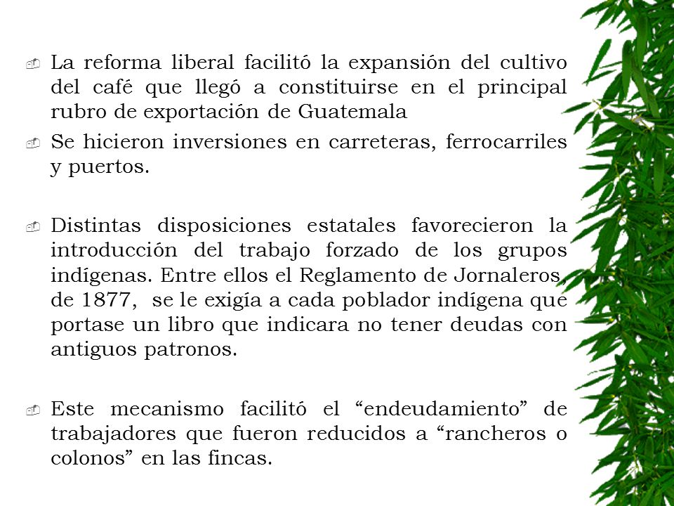 La reforma liberal facilitó la expansión del cultivo del café que llegó a constituirse en el principal rubro de exportación de Guatemala