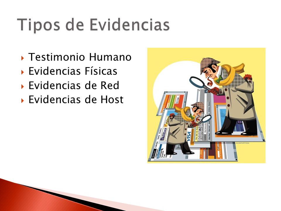 Tipos de Evidencias Testimonio Humano Evidencias Físicas