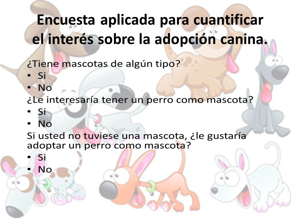 Encuesta aplicada para cuantificar el interés sobre la adopción canina.