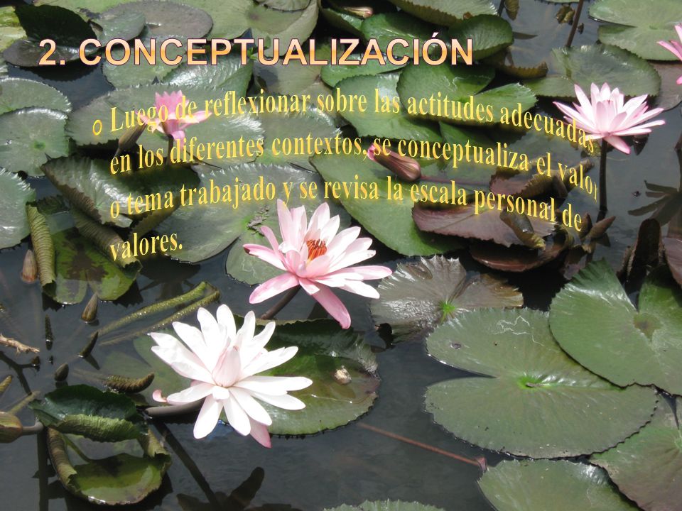 Luego de reflexionar sobre las actitudes adecuadas en los diferentes contextos, se conceptualiza el valor o tema trabajado y se revisa la escala personal de valores.