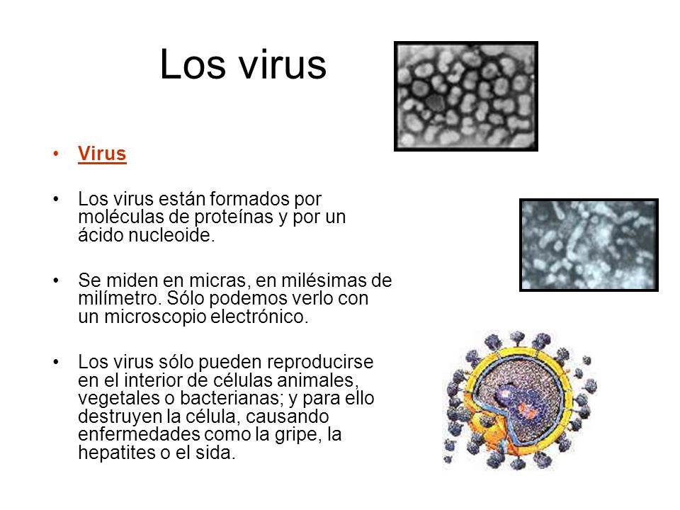 Los virus Virus. Los virus están formados por moléculas de proteínas y por un ácido nucleoide.