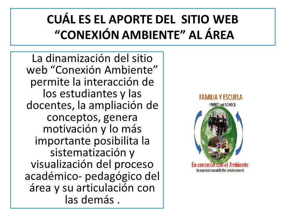 CUÁL ES EL APORTE DEL SITIO WEB CONEXIÓN AMBIENTE AL ÁREA