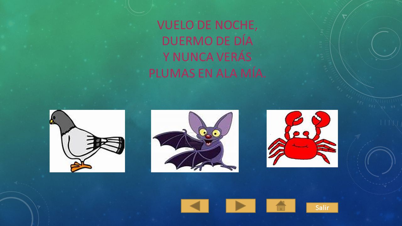 Vuelo de noche, duermo de día y nunca verás plumas en ala mía.