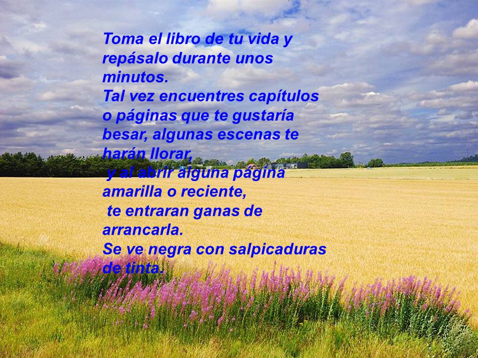 Toma el libro de tu vida y repásalo durante unos minutos.