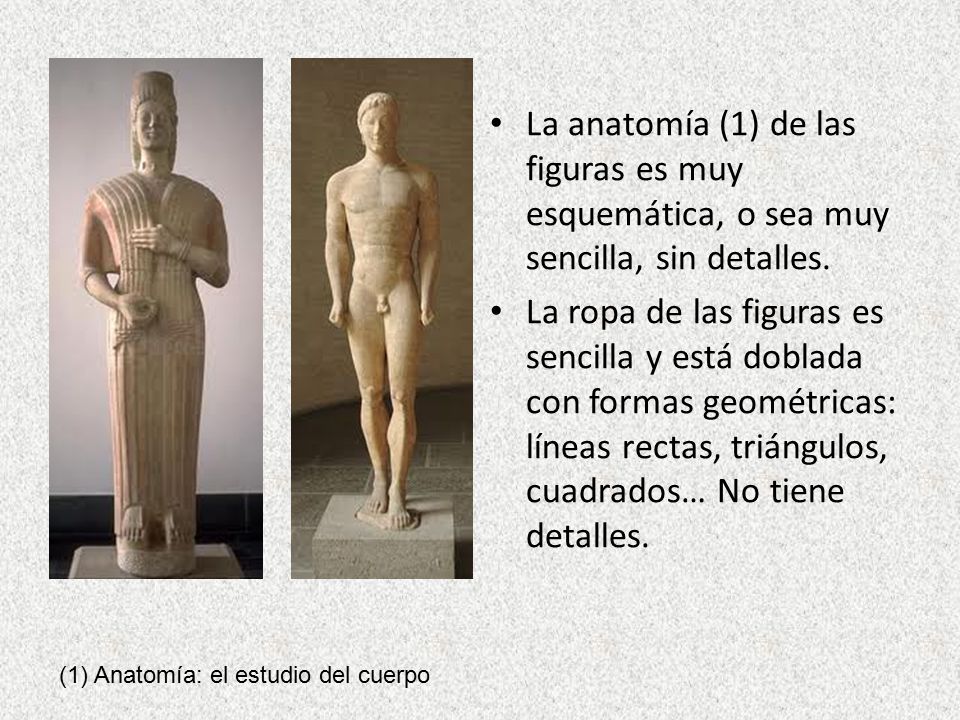 La anatomía (1) de las figuras es muy esquemática, o sea muy sencilla, sin detalles.