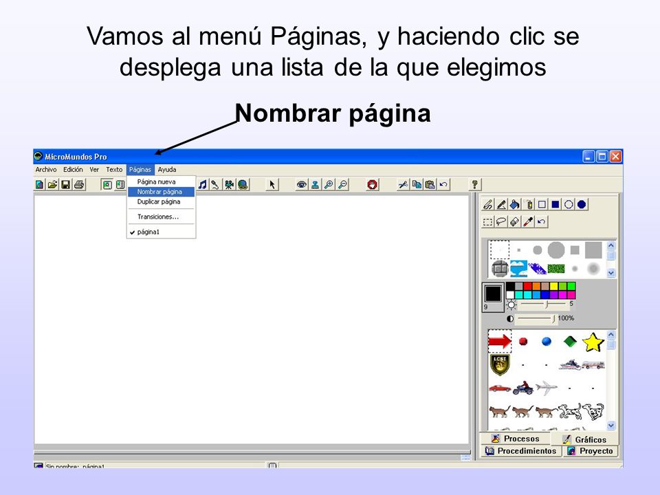 Vamos al menú Páginas, y haciendo clic se desplega una lista de la que elegimos