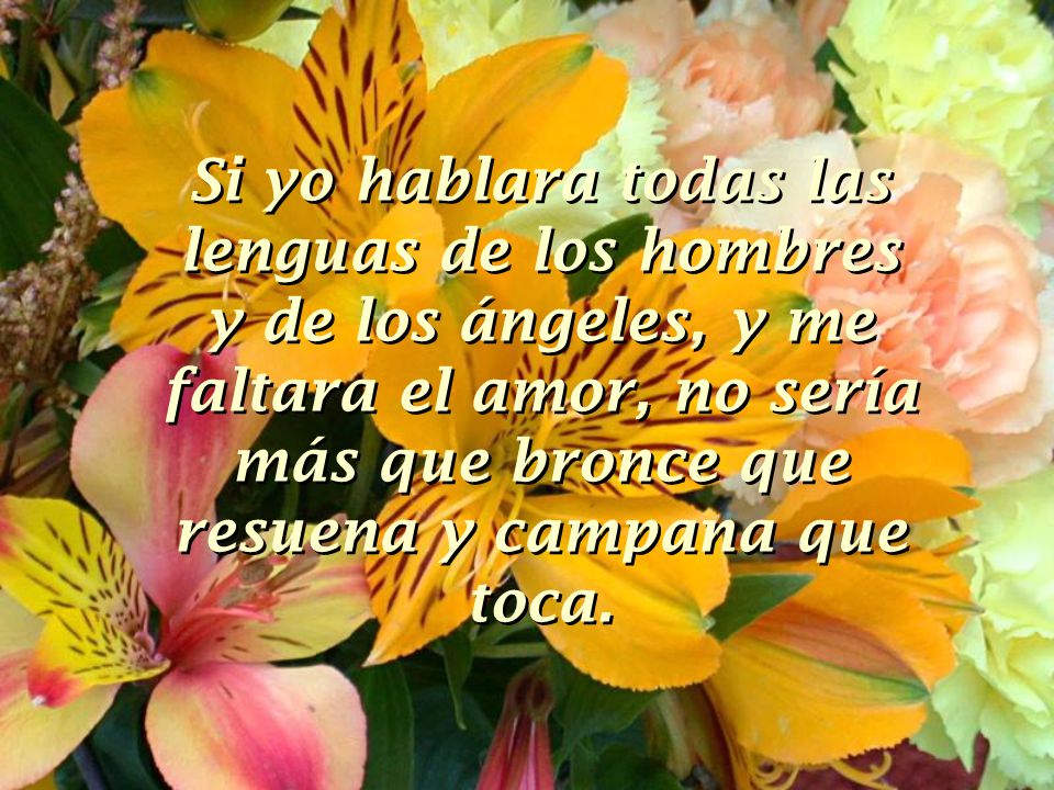 Si yo hablara todas las lenguas de los hombres y de los ángeles, y me faltara el amor, no sería más que bronce que resuena y campana que toca.