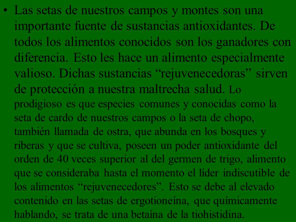 Las setas de nuestros campos y montes son una importante fuente de sustancias antioxidantes.
