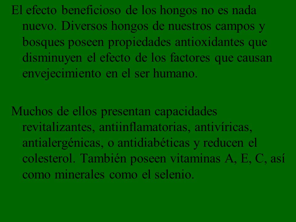 El efecto beneficioso de los hongos no es nada nuevo