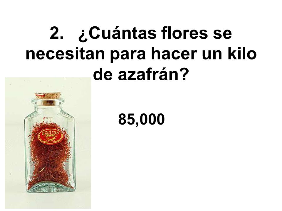 2. ¿Cuántas flores se necesitan para hacer un kilo de azafrán