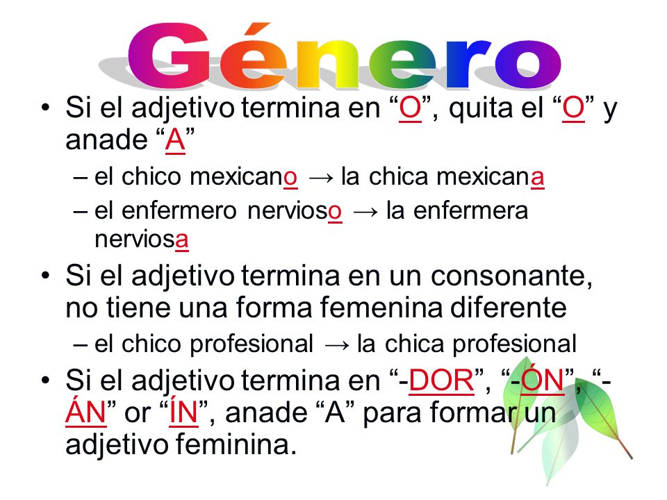 Género Si el adjetivo termina en O , quita el O y anade A