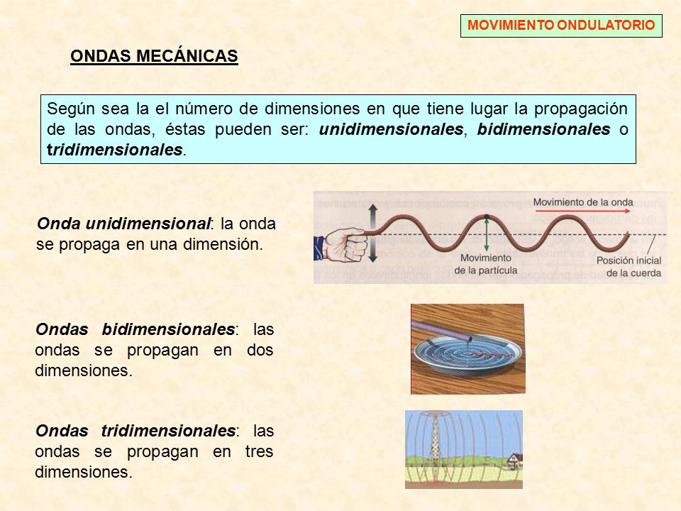 Onda unidimensional: la onda se propaga en una dimensión.