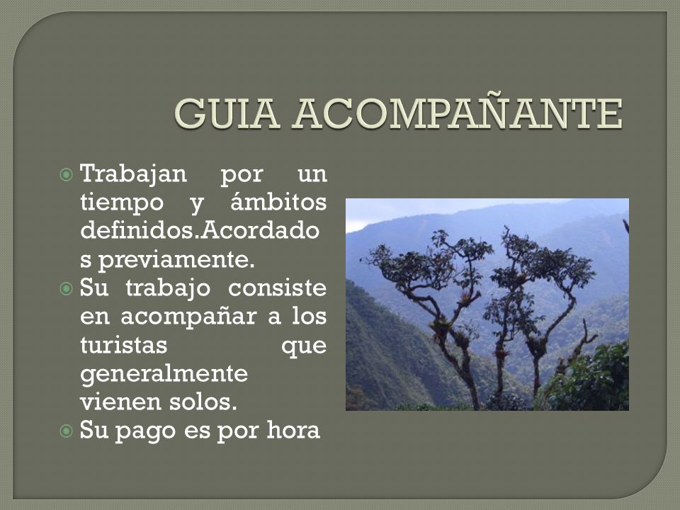 utpl GUIA ACOMPAÑANTE. Trabajan por un tiempo y ámbitos definidos.Acordados previamente.