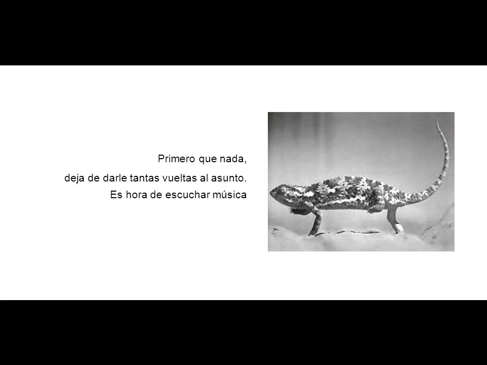 Primero que nada, deja de darle tantas vueltas al asunto. Es hora de escuchar música