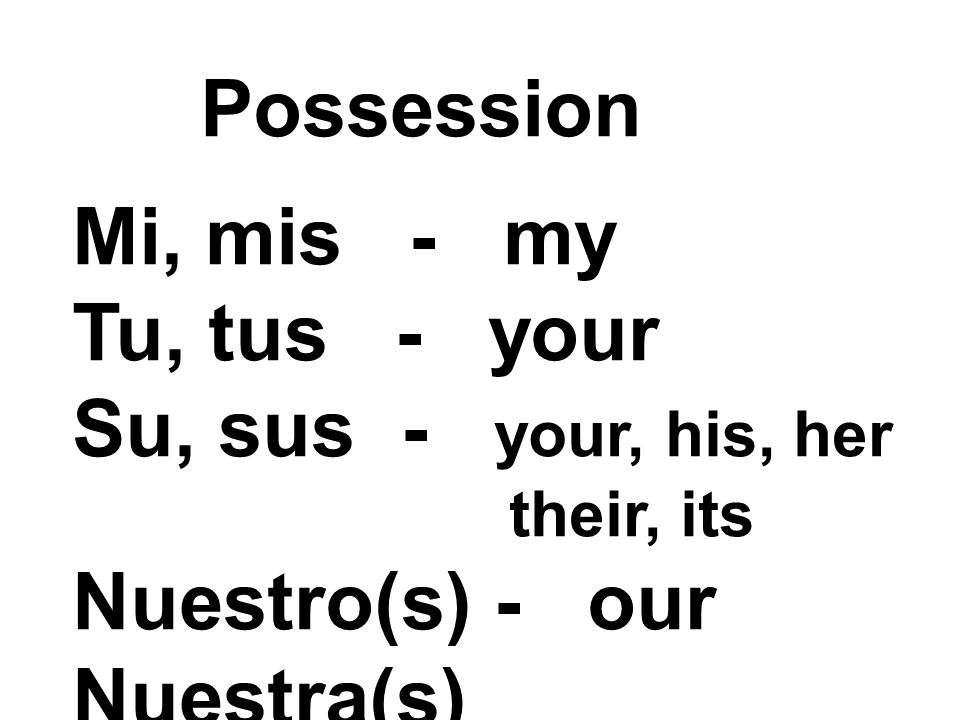 Possession Mi, mis - my Tu, tus - your Su, sus - your, his, her