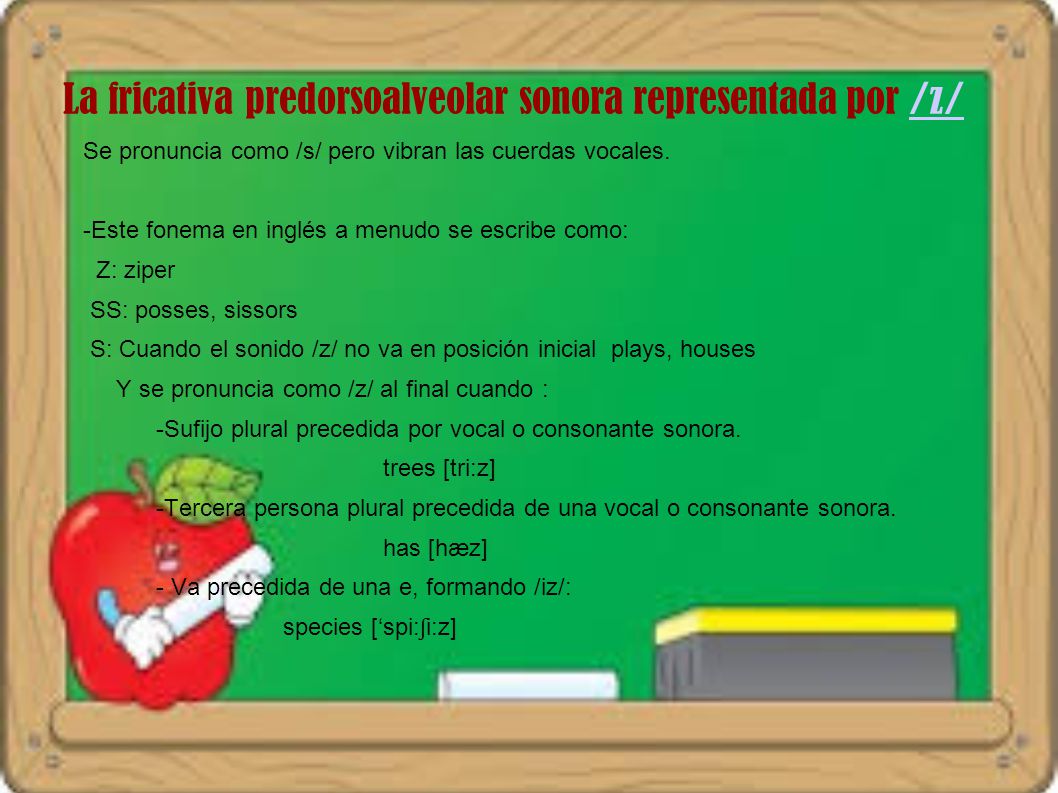La fricativa predorsoalveolar sonora representada por /z/