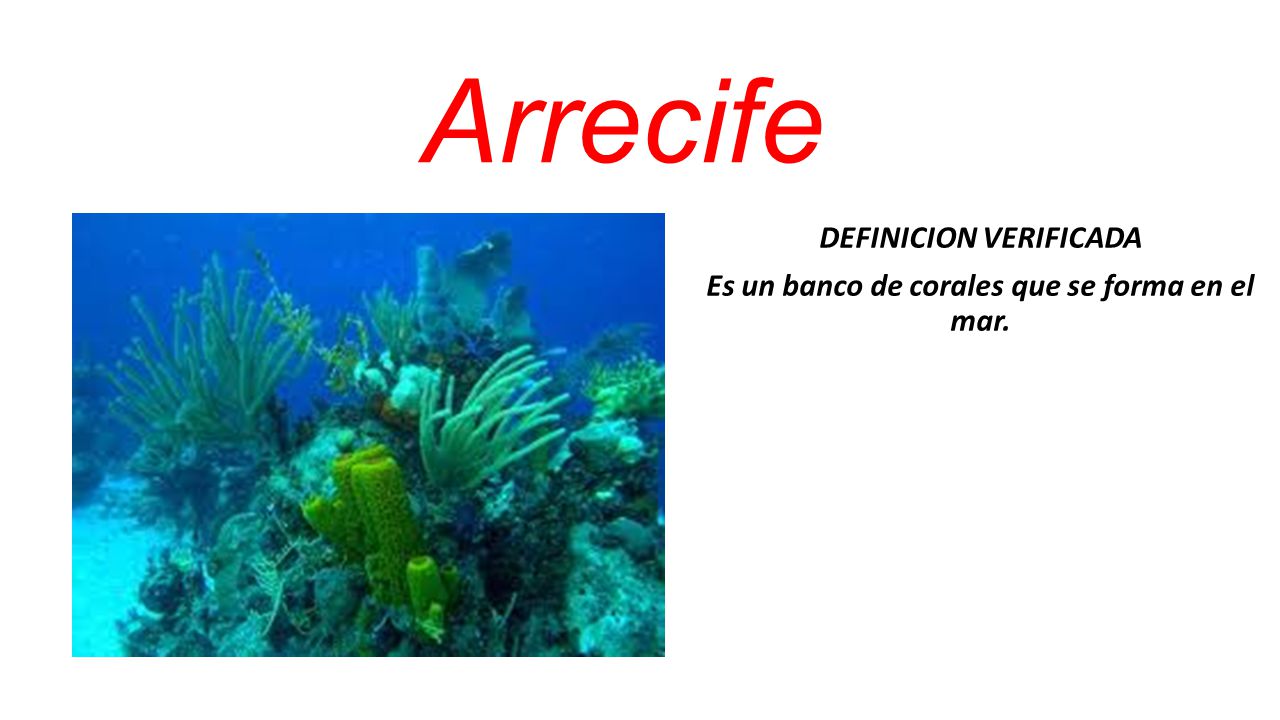DEFINICION VERIFICADA Es un banco de corales que se forma en el mar.