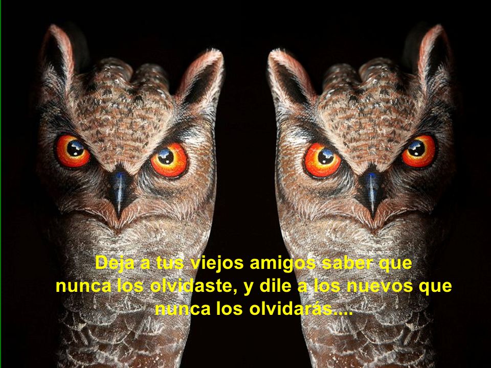 Deja a tus viejos amigos saber que nunca los olvidaste, y dile a los nuevos que nunca los olvidarás....