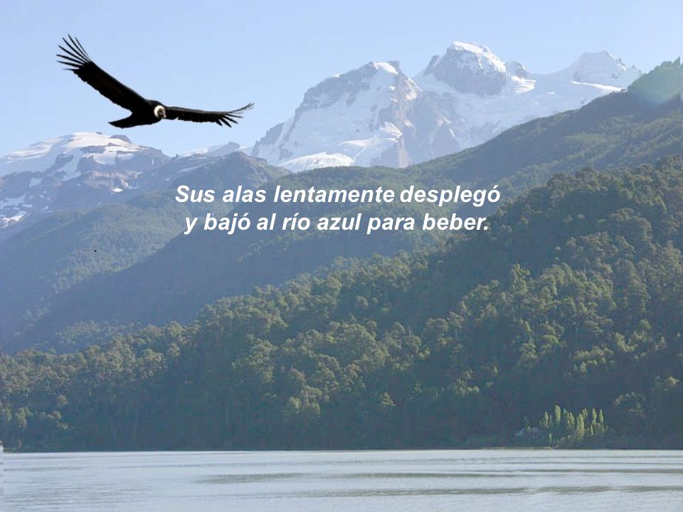 Sus alas lentamente desplegó y bajó al río azul para beber.