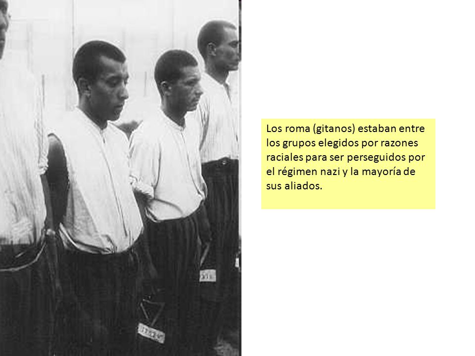 Los roma (gitanos) estaban entre los grupos elegidos por razones raciales para ser perseguidos por el régimen nazi y la mayoría de sus aliados.