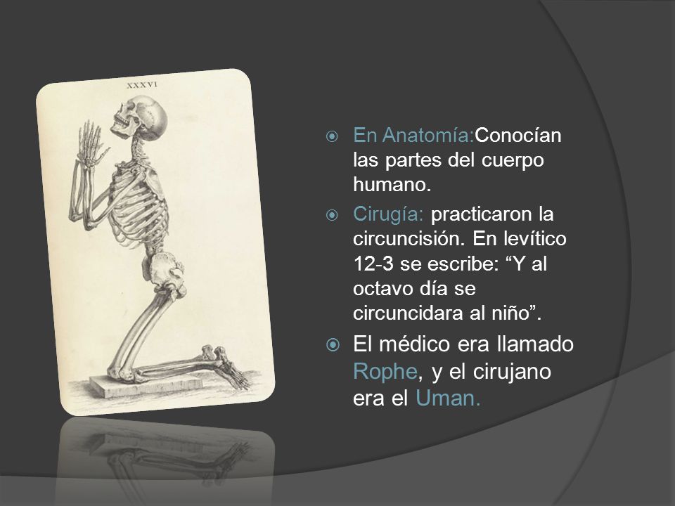 El médico era llamado Rophe, y el cirujano era el Uman.
