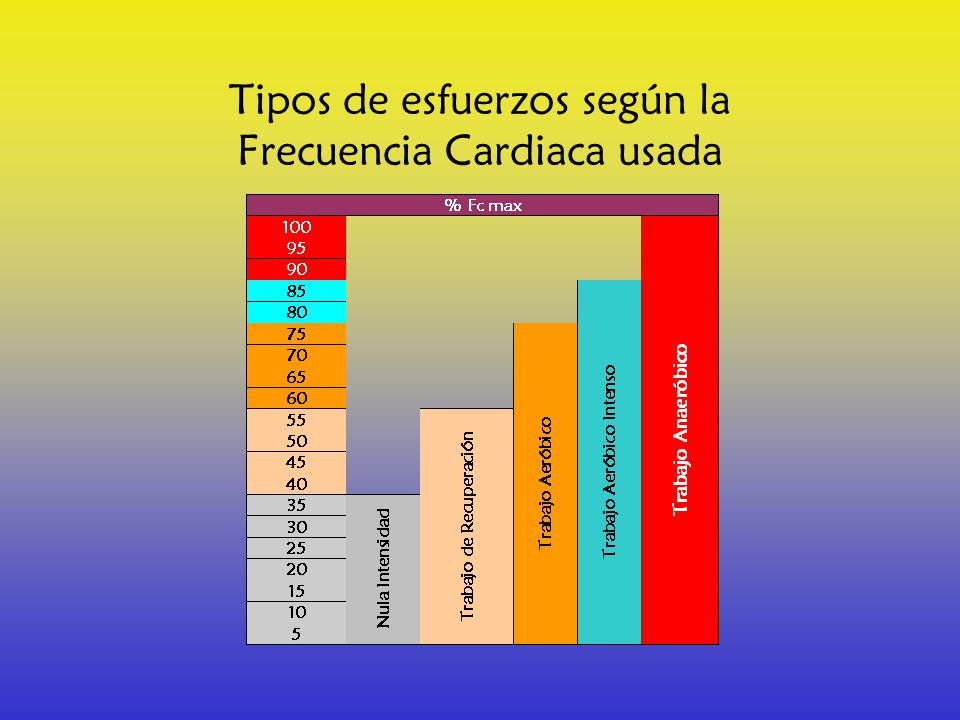 Tipos de esfuerzos según la Frecuencia Cardiaca usada