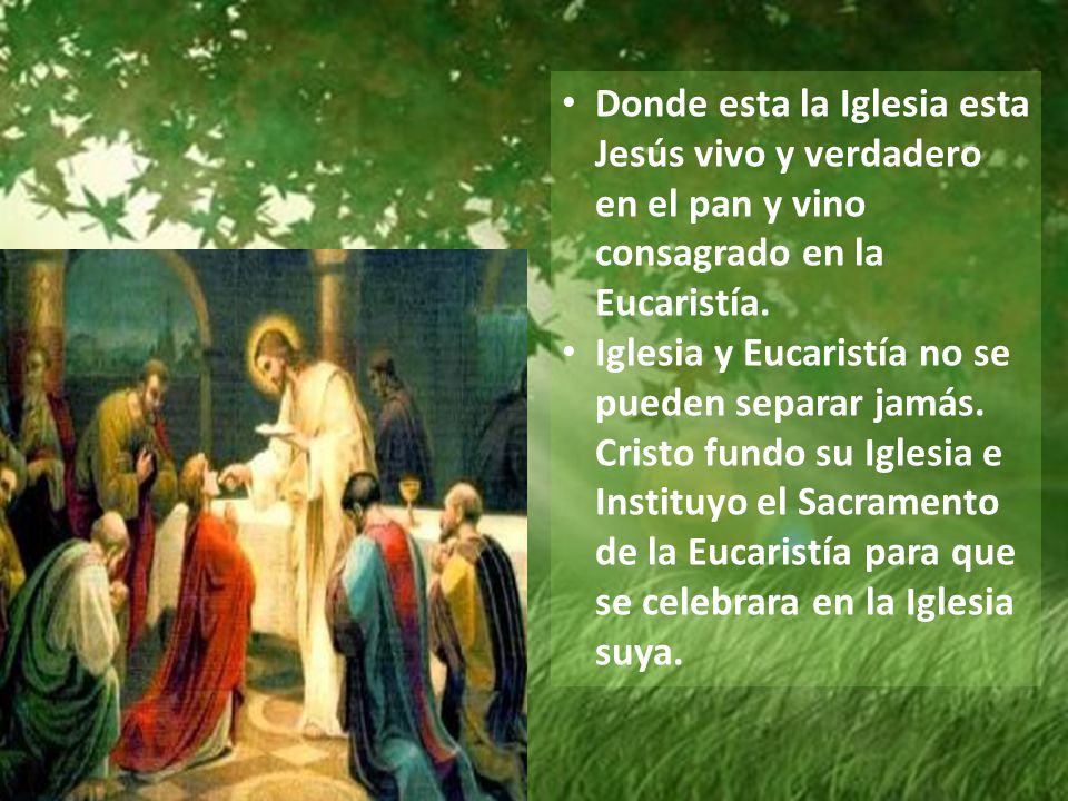 Donde esta la Iglesia esta Jesús vivo y verdadero en el pan y vino consagrado en la Eucaristía.