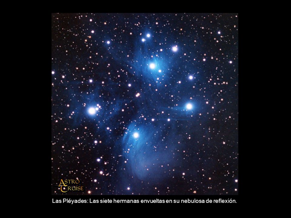 Las Pléyades: Las siete hermanas envueltas en su nebulosa de reflexión.