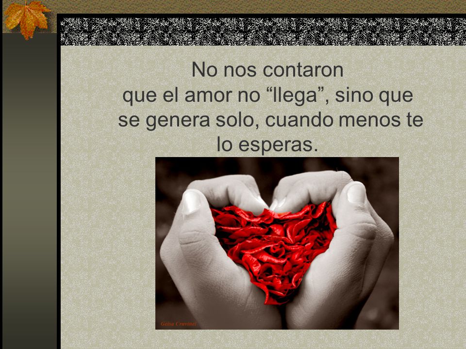 No nos contaron que el amor no llega , sino que