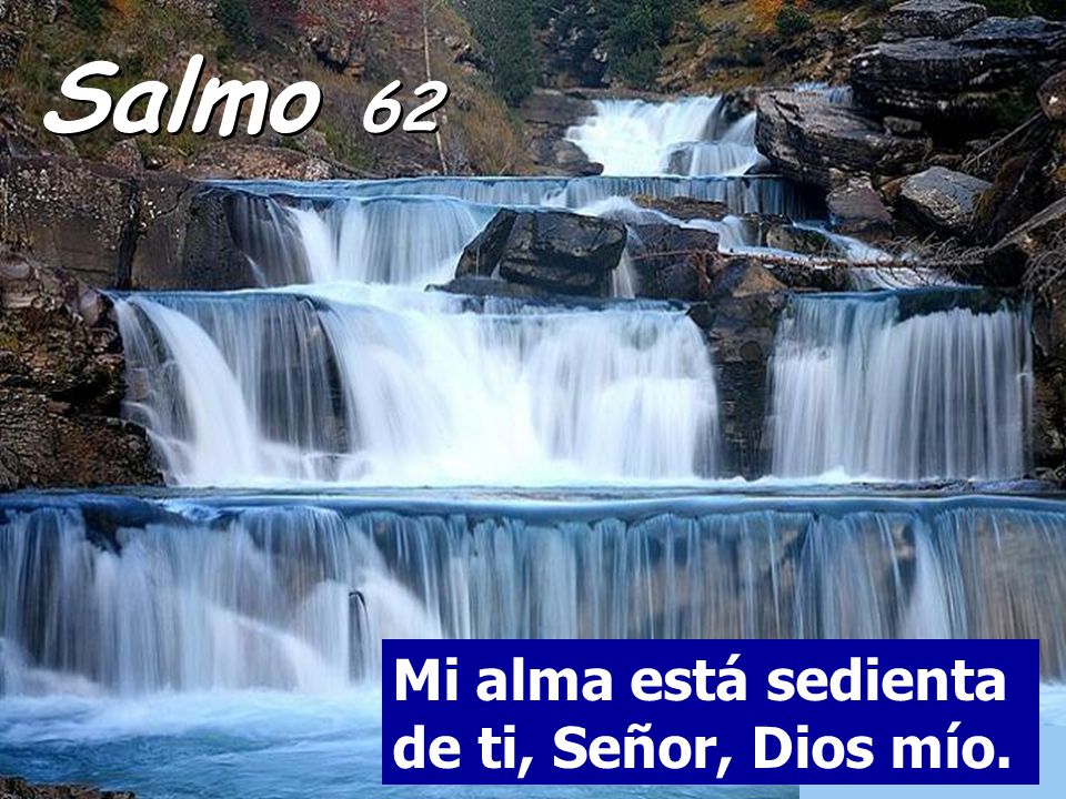 Salmo 62 Mi alma está sedienta de ti, Señor, Dios mío.