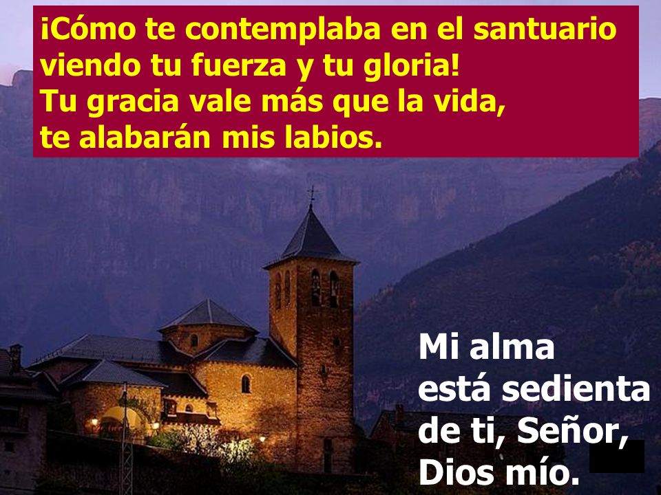Mi alma está sedienta de ti, Señor, Dios mío.