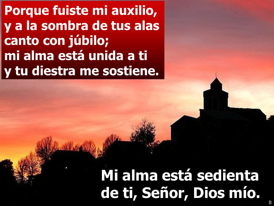 Mi alma está sedienta de ti, Señor, Dios mío.