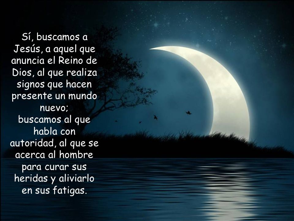Sí, buscamos a Jesús, a aquel que anuncia el Reino de Dios, al que realiza signos que hacen presente un mundo nuevo; buscamos al que habla con autoridad, al que se acerca al hombre para curar sus heridas y aliviarlo en sus fatigas.