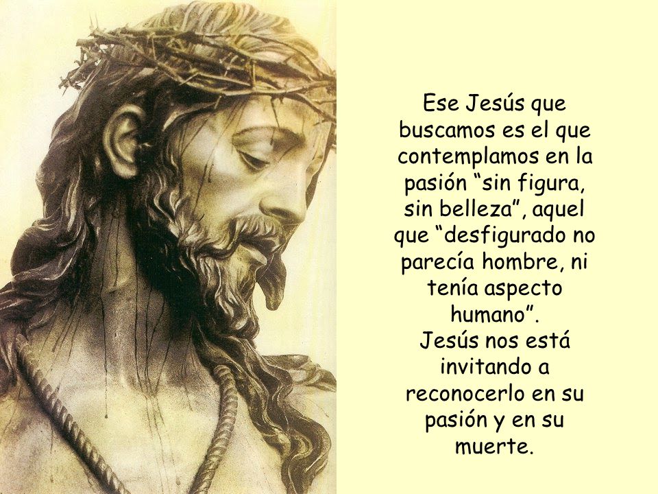 Ese Jesús que buscamos es el que contemplamos en la pasión sin figura, sin belleza , aquel que desfigurado no parecía hombre, ni tenía aspecto humano .