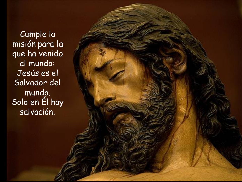 Cumple la misión para la que ha venido al mundo: Jesús es el Salvador del mundo.