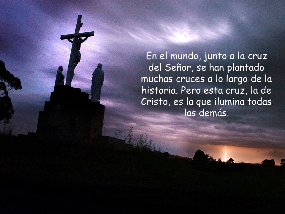 En el mundo, junto a la cruz del Señor, se han plantado muchas cruces a lo largo de la historia.