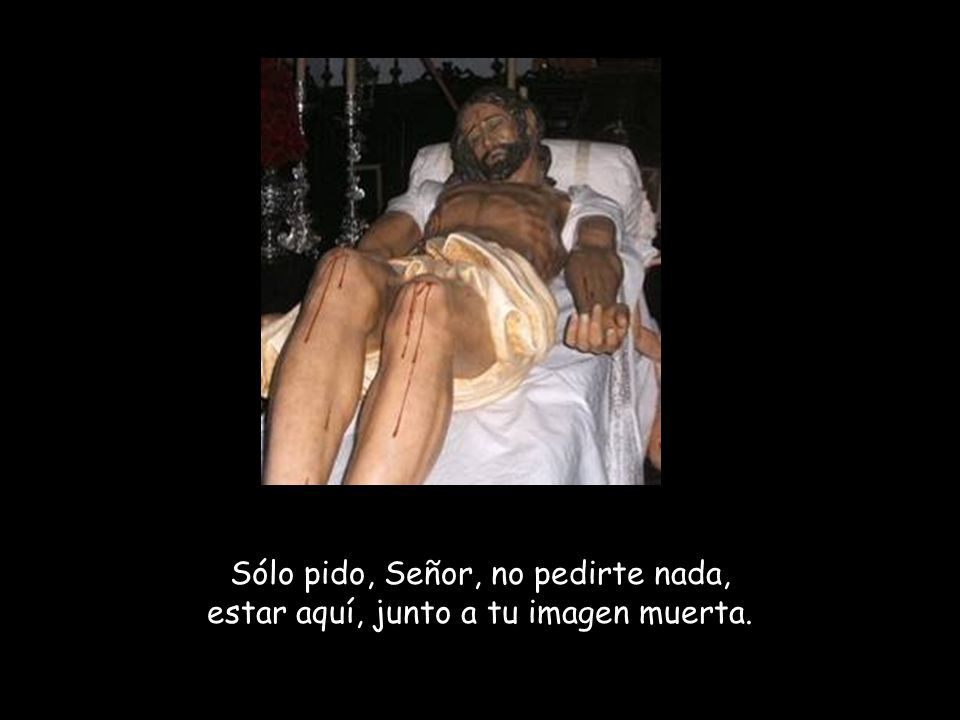 Sólo pido, Señor, no pedirte nada, estar aquí, junto a tu imagen muerta.