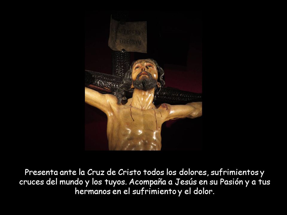 Presenta ante la Cruz de Cristo todos los dolores, sufrimientos y cruces del mundo y los tuyos.