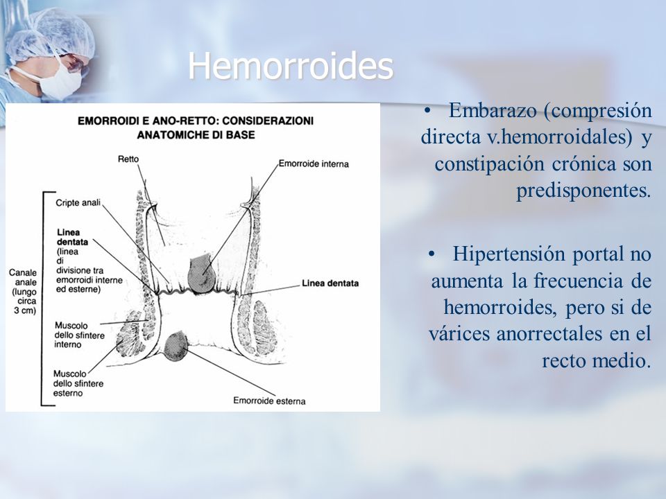 Hemorroides Embarazo (compresión directa v.hemorroidales) y constipación crónica son predisponentes.