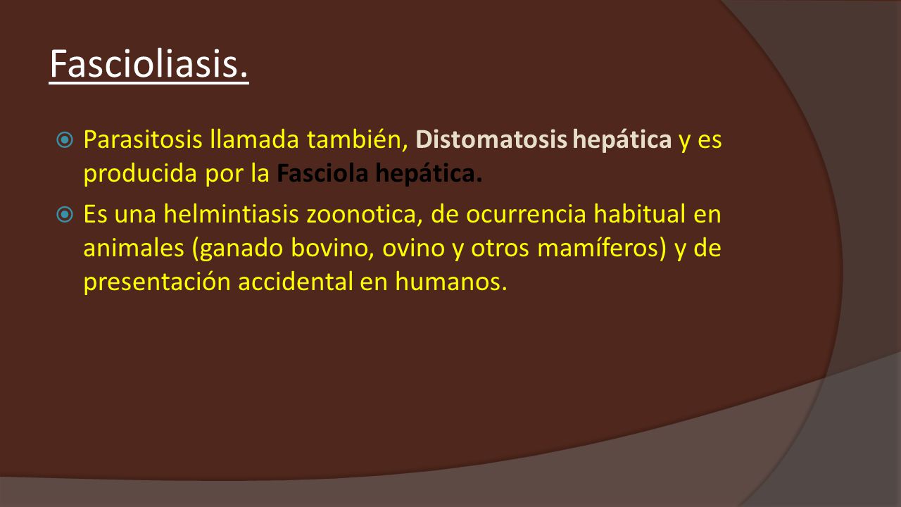 Fascioliasis. Parasitosis llamada también, Distomatosis hepática y es producida por la Fasciola hepática.