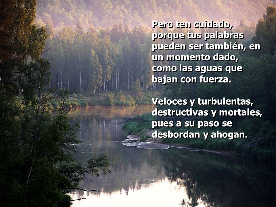 Pero ten cuidado, porque tus palabras pueden ser también, en un momento dado, como las aguas que bajan con fuerza.