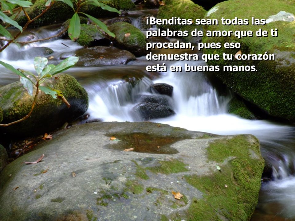 ¡Benditas sean todas las palabras de amor que de ti procedan, pues eso demuestra que tu corazón está en buenas manos.