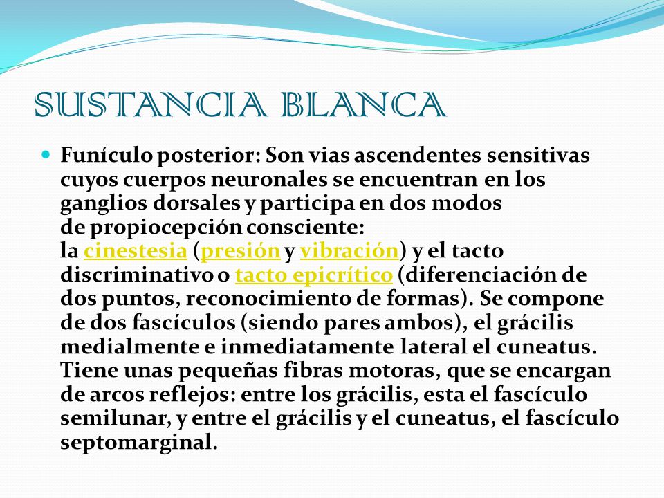 SUSTANCIA BLANCA