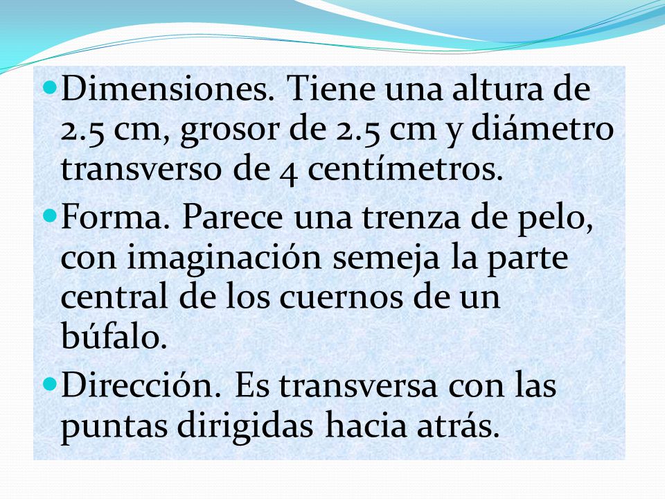 Dimensiones. Tiene una altura de 2. 5 cm, grosor de 2