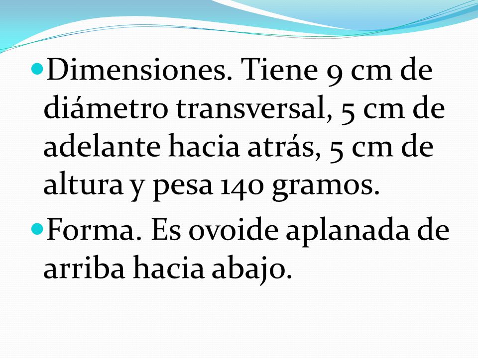 Dimensiones. Tiene 9 cm de diámetro transversal, 5 cm de adelante hacia atrás, 5 cm de altura y pesa 140 gramos.