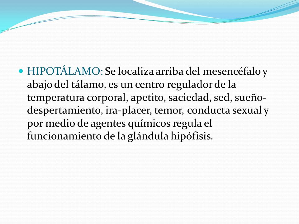 HIPOTÁLAMO: Se localiza arriba del mesencéfalo y abajo del tálamo, es un centro regulador de la temperatura corporal, apetito, saciedad, sed, sueño-despertamiento, ira-placer, temor, conducta sexual y por medio de agentes químicos regula el funcionamiento de la glándula hipófisis.