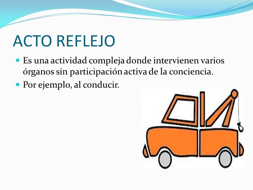 ACTO REFLEJO Es una actividad compleja donde intervienen varios órganos sin participación activa de la conciencia.