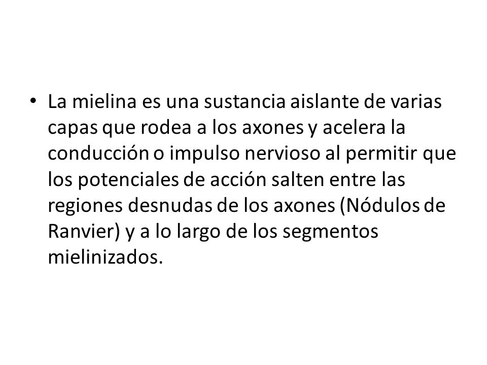 La mielina es una sustancia aislante de varias capas que rodea a los axones y acelera la conducción o impulso nervioso al permitir que los potenciales de acción salten entre las regiones desnudas de los axones (Nódulos de Ranvier) y a lo largo de los segmentos mielinizados.